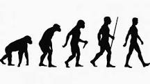 ¿Cuál es la conclusion de la evolución?