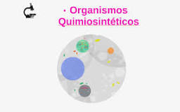 Ciencia de la vida: Fotosintéticos y Quimiosintéticos - 3 - febrero 23, 2023