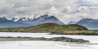 Vida Ártica: Explorando la Flora y Fauna del Clima Polar - 3 - febrero 23, 2023