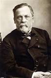 Estudiando con Pasteur: Explorando el Método Científico - 3 - febrero 23, 2023