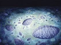¿Cómo se llama los primeros organismos unicelulares?
