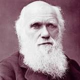 ¿Qué observaciones llevan a Darwin a postular su teoría?