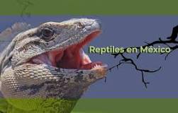 ¿Qué país tiene mayor diversidad de reptiles?