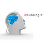 Comprendiendo la Diferencia: Neurólogo vs Neurofisiólogo
