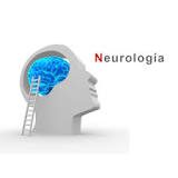 Comprendiendo la Diferencia: Neurólogo vs Neurofisiólogo - 3 - febrero 23, 2023
