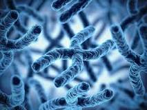 ¿Qué implica la modificación genética del ser humano?