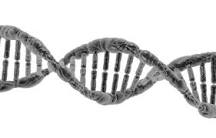 ¿Qué son las instrucciones del ADN?