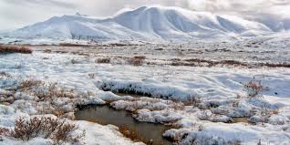 Explorando la Tundra Americana - 3 - febrero 23, 2023