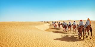 ¿Cuáles son los factores fisicos del desierto?