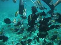 ecosistemas acuaticos ejemplos