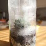 La Mezcla Mágica: Experimento de Tierra y Agua en Botella