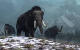 informacion sobre la caza del mamut