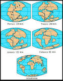 ¿Cómo sería el mundo si aún existiera Pangea?