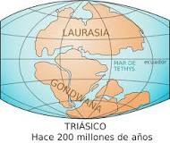 ¿Qué fue primero Pangea o Gondwana?