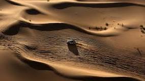 ¿Cuáles son los peligros en el desierto?