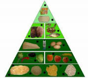 piramide alimenticia animales
