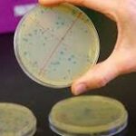 Microbios y Ecología: Una Mirada en Infografía