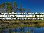 Conclusiones de los Ecosistemas