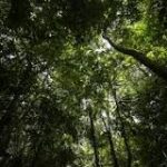 Preservando Quintana Roo: el valor de los ecosistemas.