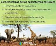 ¿Cuáles son los 8 tipos de ecosistemas?