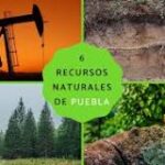 Recursos Renovables: la clave para un futuro sustentable en Puebla