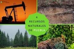 Recursos Renovables: la clave para un futuro sustentable en Puebla - 3 - febrero 24, 2023