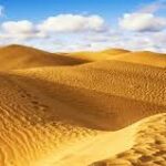 Factores Abióticos en los Desiertos