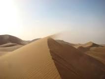 ¿Qué elementos y factores se dan en un desierto?