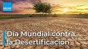 ¿Cuál es el proceso de la desertificación?