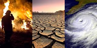 ¿Qué es el cambio climático 3 ejemplos?