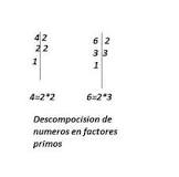 descomposicion factorial de 45