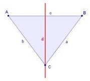 ¿Cómo son los ejes de simetría?