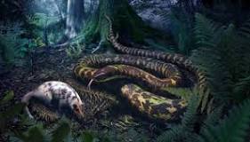¿Cómo es la evolución de las serpientes?