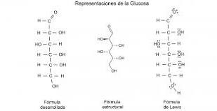 ¿Cómo es la estructura de los compuestos químicos?