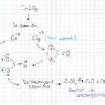 Reacciones Químicas: Creando Nuevas Moléculas