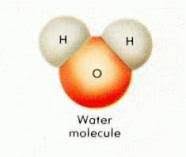¿Cómo se distribuyen las partículas del agua?