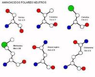 ¿Qué sustancias no pueden formar puentes de hidrógeno?