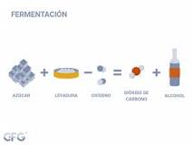 importancia de la fermentacion en la industria