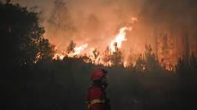 Reacciones químicas en incendios forestales - 41 - marzo 1, 2023