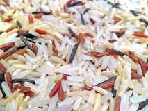 el arroz es una semilla