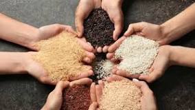 qué tipo de arroz aporta mayor cantidad de fibra