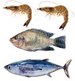cuales son las especies de pesca sobre explotadas