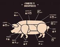 ¿Cuáles son las partes de un cerdo?