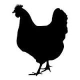 el pollo es proteína o carbohidrato