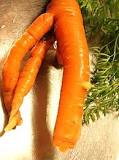 ¿Cómo se le dice a la zanahoria en España?
