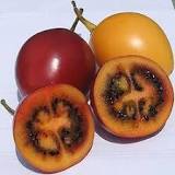 ¿Cómo se llama el tomate de árbol en Puerto Rico?