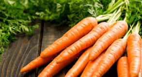 ¿Qué es la zanahoria verdura o tubérculo?