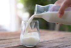 ¿Qué son los lácteos y ejemplos?