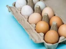 Beneficios del Huevo de Pata - 25 - marzo 2, 2023