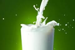 ¿Cómo se clasifica la leche y sus derivados?